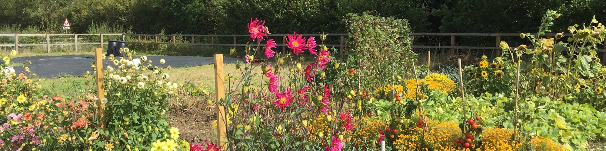 Bardwell Parish Council