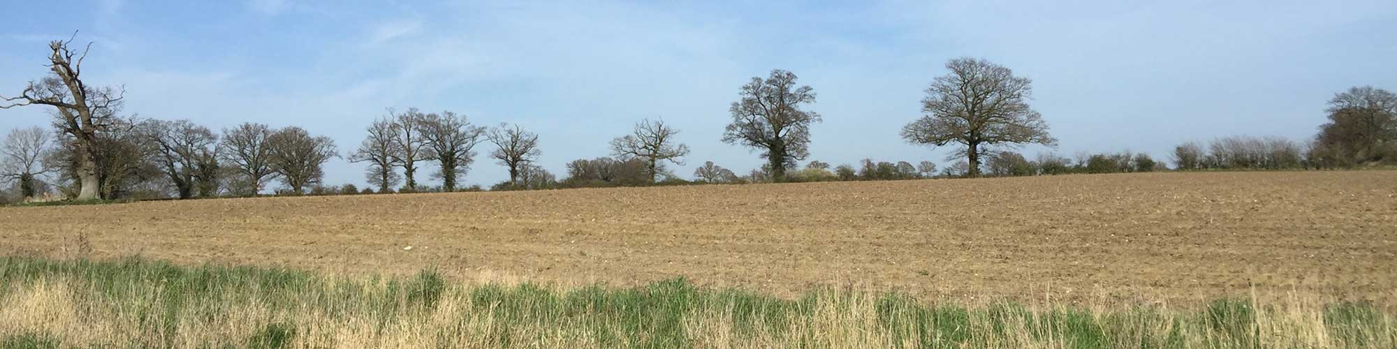 Bardwell Parish Council