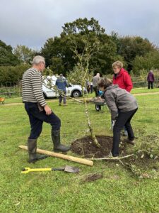 Community Orchard 
